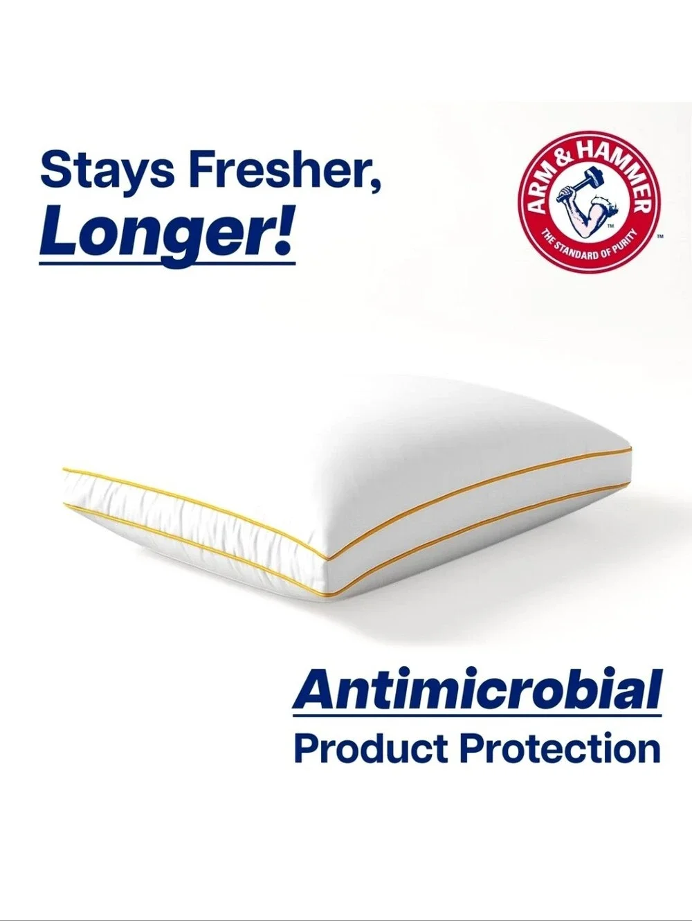 Arm & Hammer arm hammer